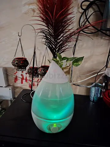 Humidifier