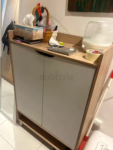 Modern Wooden Two-Door Shoe Storage Cabinet