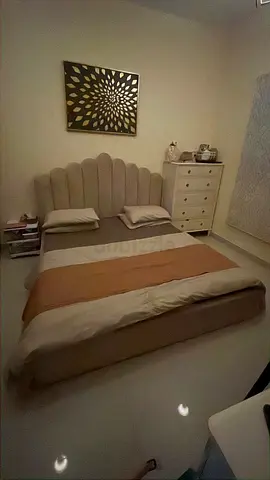 Hydraulic Bed with Mattress|