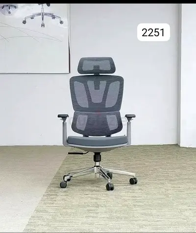 Ergonomic Mesh Office Chair with Headrest — Adjustable Lumbar Support