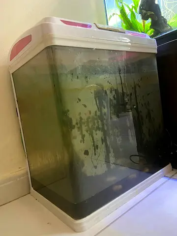 Aquarium for sale
