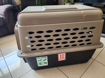 Dogs carriers for air travel