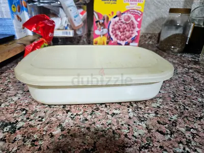 Used Plastic Food Storage Container with Lid - Medium