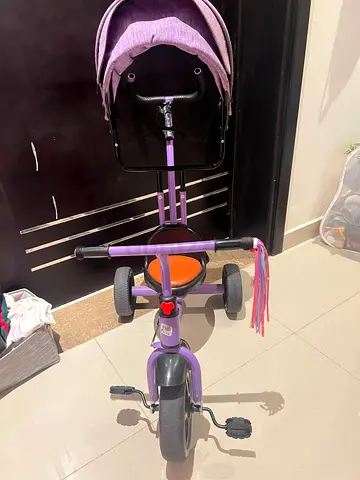 Purple Baby Tricycle with Canopy and Push Handle