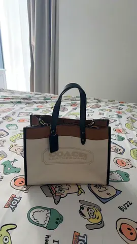 couch tote