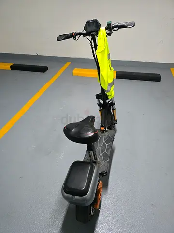 Electric Scooter with seat and storage box