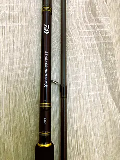 Classifieds: Daiwa Seabass Hunter (2.9mtr, 10-50g) X-96M New with