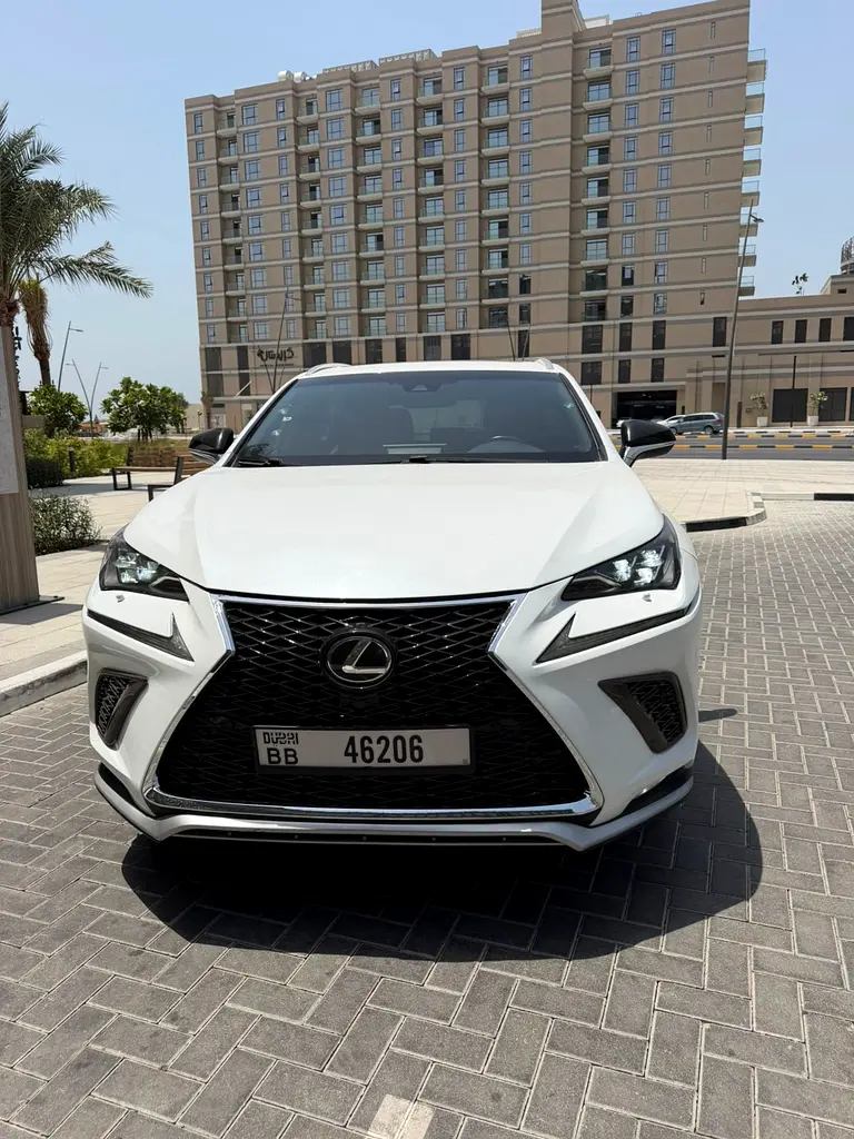 Lexus NX-Series 2018 — photo 1 of 19