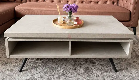 Modern rectangular coffee table with storage - light grey finish