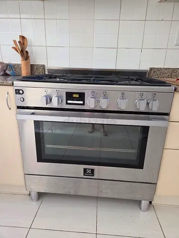 Electrolux Stainless Steel Gas Range with Oven - Good Condition