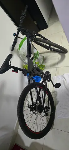 Mountain bike
