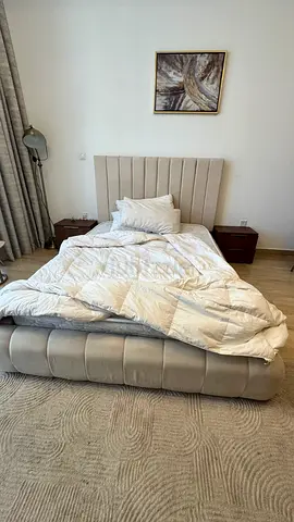 Queen size bed , tv unit , arm chair , console