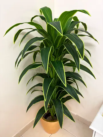Premium Artificial Indoor Plant with Decorative Pot - Like New