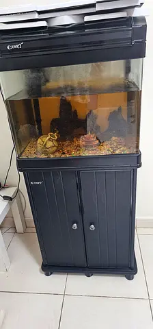 Used Juwel-style Glass Aquarium with Cabinet - 60-80cm (Ready)