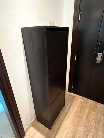 Modern Dark Brown Shoe Cabinet with Two Compartments