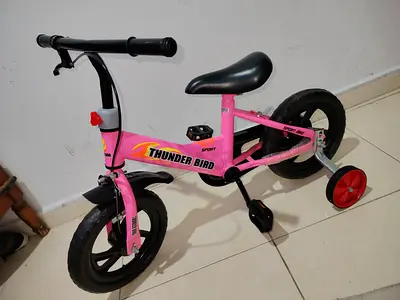Pink kids bike with training wheels - Thunder Bird