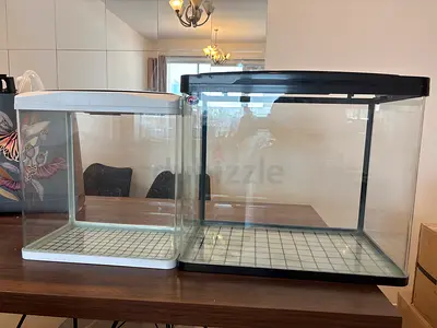 Two Glass fish tanks