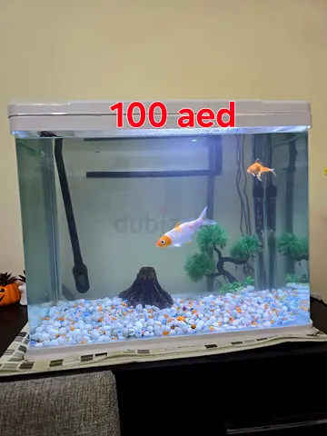 Aquarium tank wid koi fish included for sale