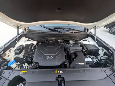 2020 Hyundai PALISADE 缩略图 17