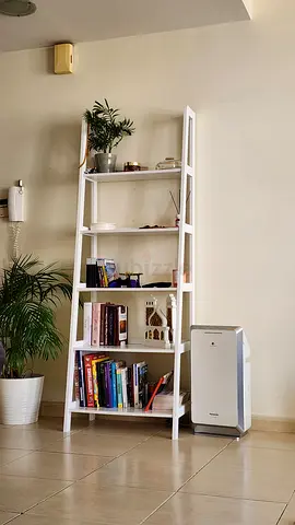 Ladder Bookshelf / Display Shelf - Very Good Condition