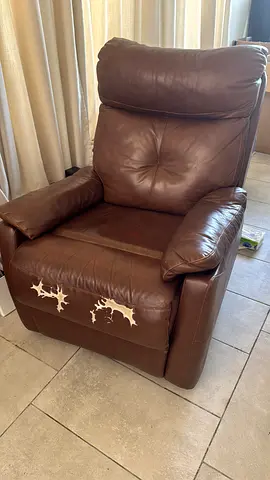 Comfort Leather Recliner - For Free