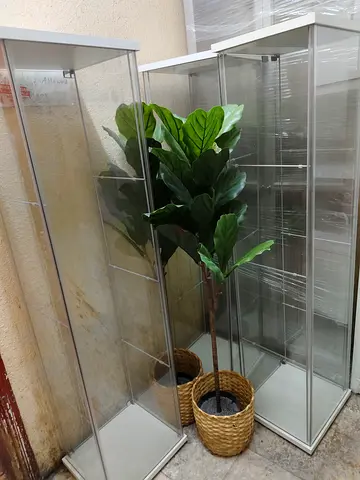 Tall glass display cabinet / showcase - slim modern unit