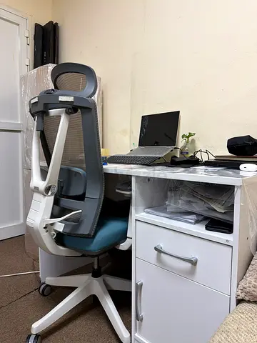 Ergonomic mesh office chair with lumbar support - good condition