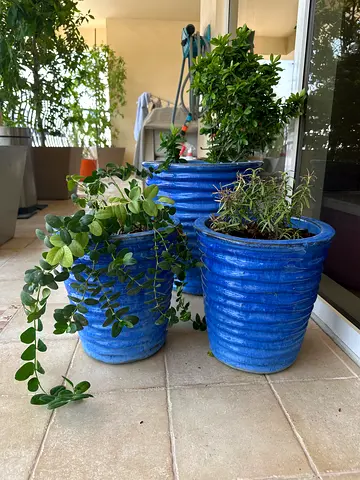 Plant pots