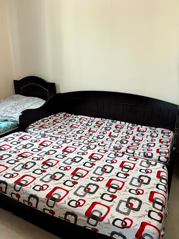 Sofa cum Bed Wooden with storage space