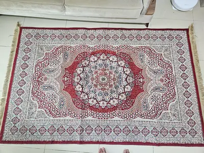 Traditional Persian-style area rug - medium size, good condition