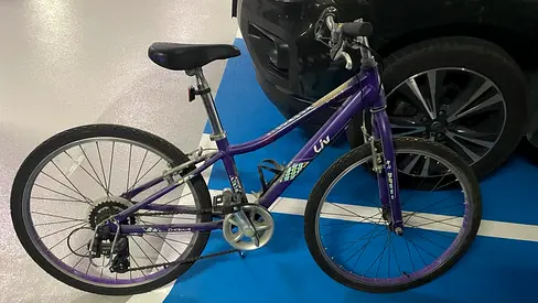 Liv Purple Hybrid/City Bike - Good Condition, 21-Speed, 26-inch