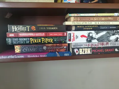 Fiction and nonfiction books