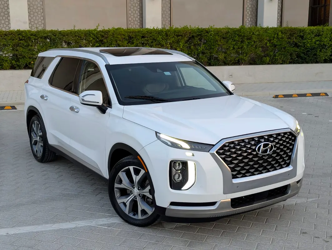 Hyundai Palisade 2020 — photo 1 of 20