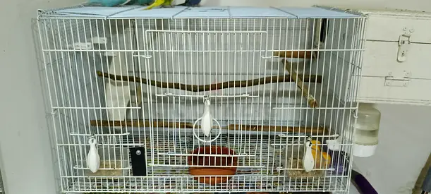 White Metal Bird Cage with Perches and Breeding Box without birds