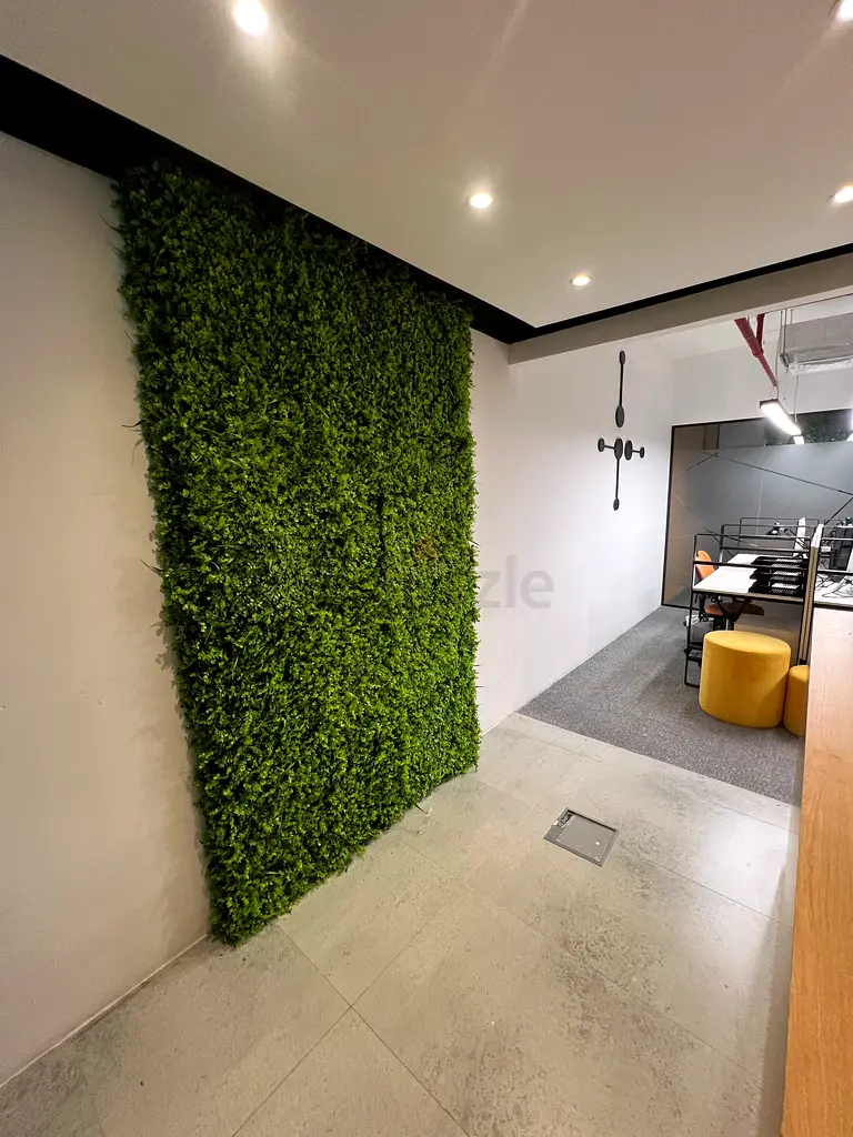 DPV_View_Image_3