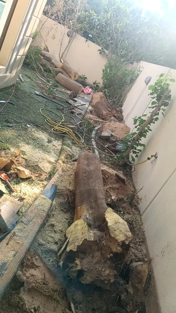 DPV_View_Image_2