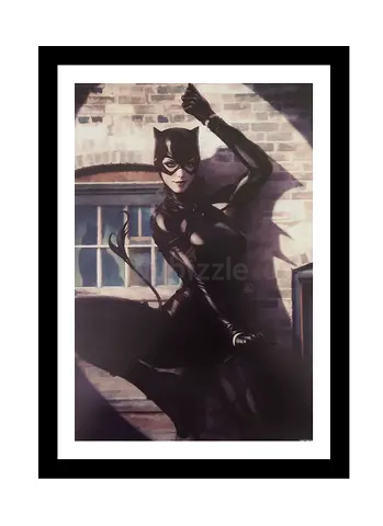 Catwoman Framed Artwork