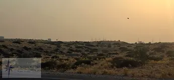 ***URGENT Sale Commercial Plot Available in Al Ruwaida Area***