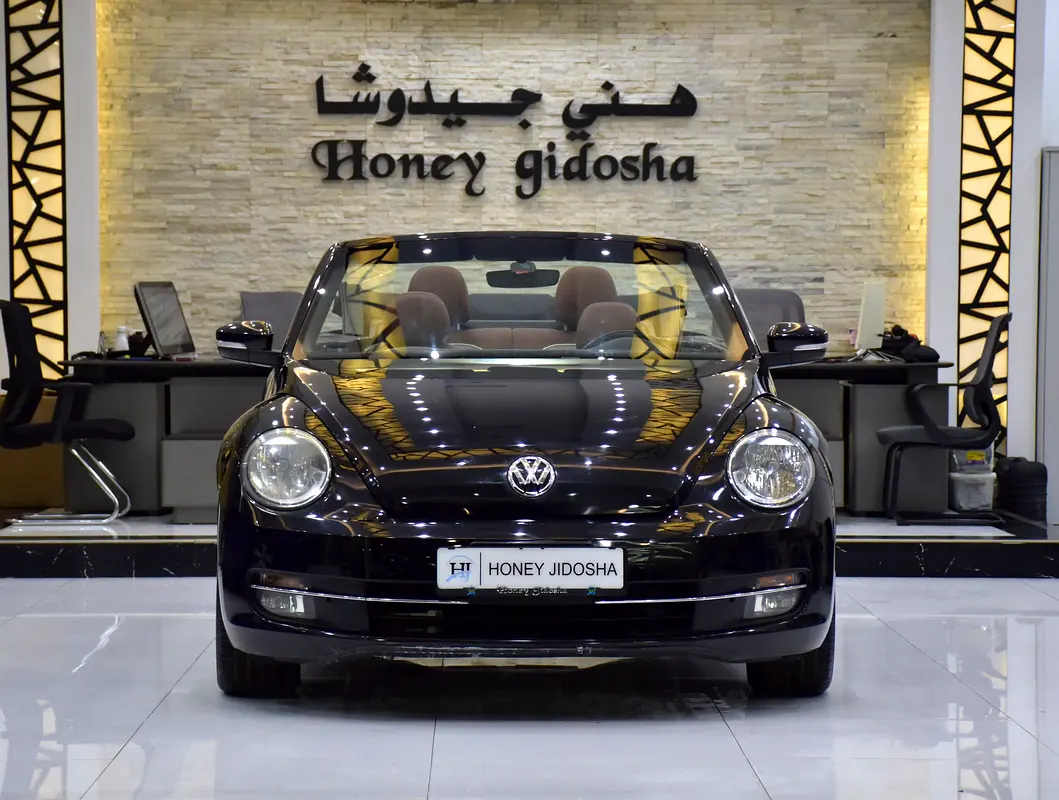 Volkswagen Beetle 2017 — photo 1 of 17