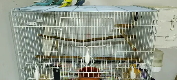 White Metal Bird Cage with Perches and Breeding Box without birds