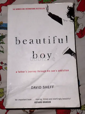 Beautiful Boy - Book by David Sheff
