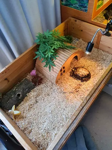 Wooden Tortoise Table/house | Real Wood | windows | comfy environment