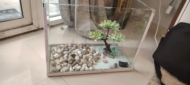 40 LTR - Glass Aquarium Tank with Decorative Rocks and Artificial Plant