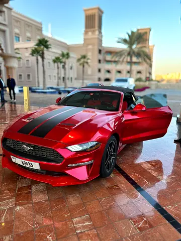 Ford Mustang Ecoboost 2019 - American Specs