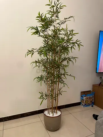 Tall artificial bamboo plant in large pot - 190 cm