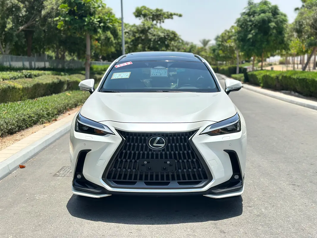 Lexus NX-Series 2025 — photo 1 of 20