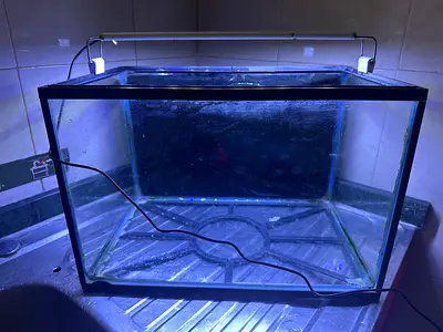 Used Fish Aquarium Tank with LED Light
