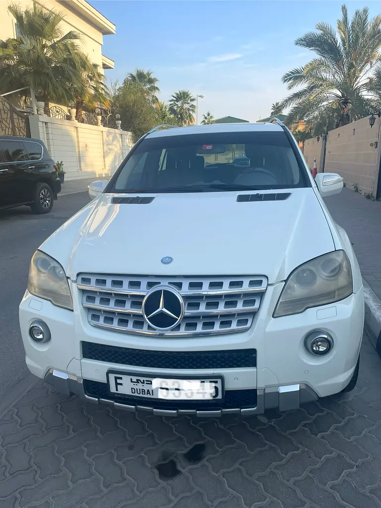 Mercedes-Benz M-Class 2010 — photo 1 of 5