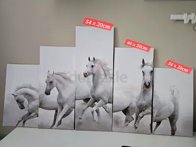 5 Pieces Canvas Art Arabian Horses Painting