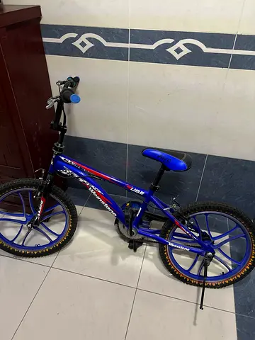 Blue Bike